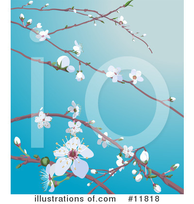 Royalty-Free (RF) Flowers Clipart Illustration by AtStockIllustration - Stock Sample #11818