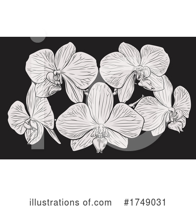 Royalty-Free (RF) Flowers Clipart Illustration by AtStockIllustration - Stock Sample #1749031
