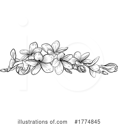 Plumeria Clipart #1774845 by AtStockIllustration