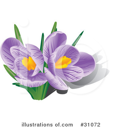 Flowers Clipart #31072 by Eugene