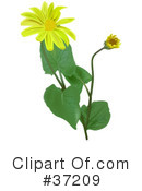 Flowers Clipart #37209 by dero