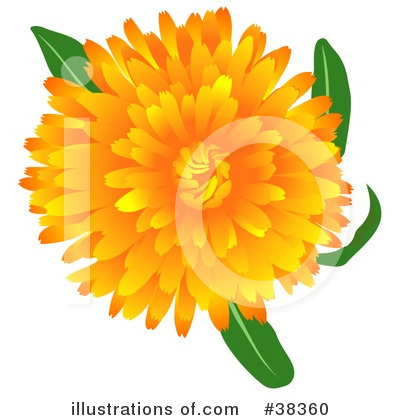 Royalty-Free (RF) Flowers Clipart Illustration by dero - Stock Sample #38360