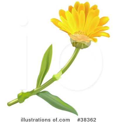 Royalty-Free (RF) Flowers Clipart Illustration by dero - Stock Sample #38362