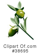 Flowers Clipart #38695 by dero