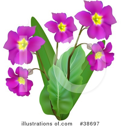 Royalty-Free (RF) Flowers Clipart Illustration by dero - Stock Sample #38697