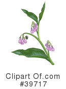 Flowers Clipart #39717 by dero