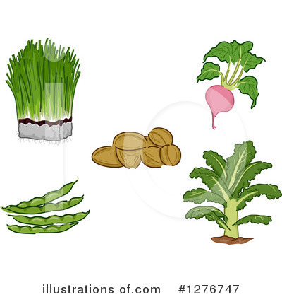 Wheatgrass Clipart #1276747 by BNP Design Studio
