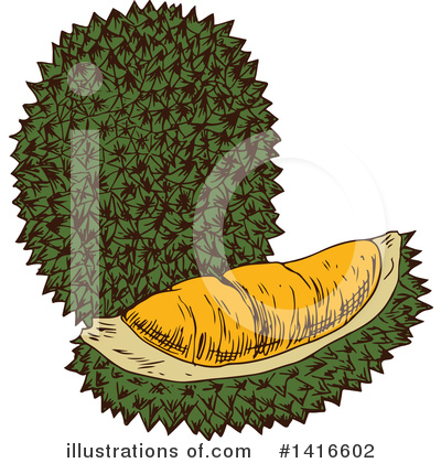 Durian Clipart #1416602 by Vector Tradition SM
