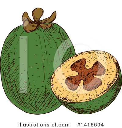 Guava Clipart #1416604 by Vector Tradition SM