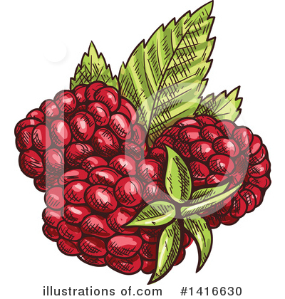 Raspberry Clipart #1416630 by Vector Tradition SM