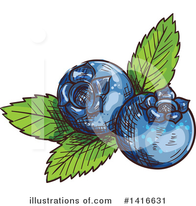 Blueberry Clipart #1416631 by Vector Tradition SM