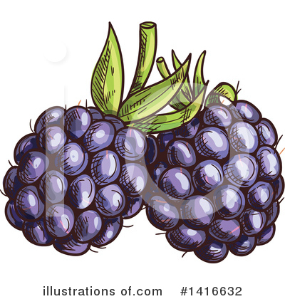 Blackberries Clipart #1416632 by Vector Tradition SM