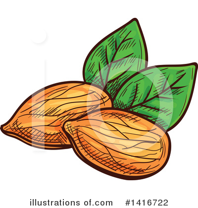 Almond Clipart #1416722 by Vector Tradition SM
