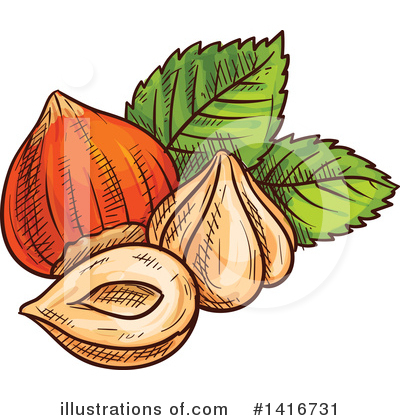 Hazelnut Clipart #1416731 by Vector Tradition SM
