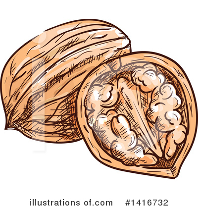 Walnut Clipart #1416732 by Vector Tradition SM