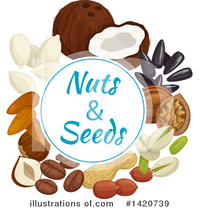 Sunflower Seeds Clipart #1420739 by Vector Tradition SM