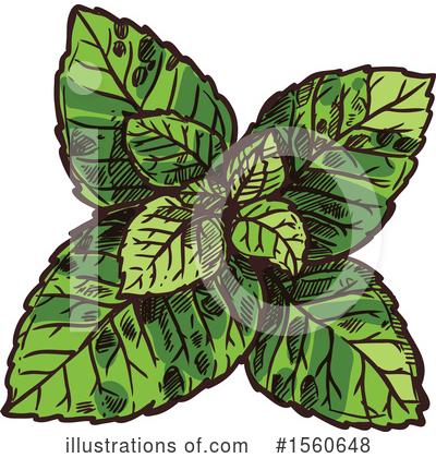Peppermint Clipart #1560648 by Vector Tradition SM