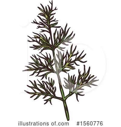 Fennel Clipart #1560776 by Vector Tradition SM