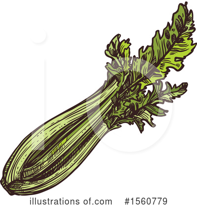 Celery Clipart #1560779 by Vector Tradition SM