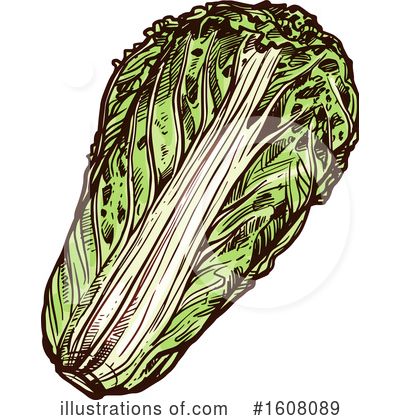 Cabbage Clipart #1608089 by Vector Tradition SM