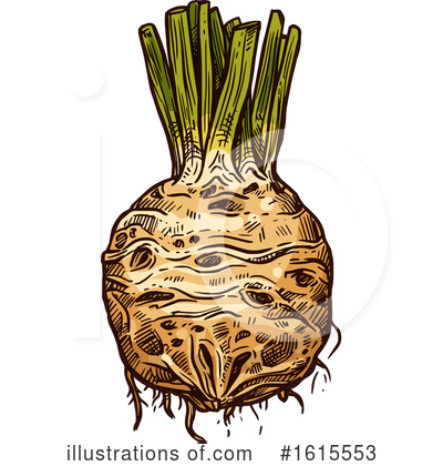 Celery Clipart #1615553 by Vector Tradition SM