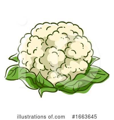 Cauliflower Clipart #1663645 by BNP Design Studio