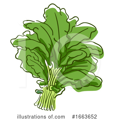 Kale Clipart #1663652 by BNP Design Studio