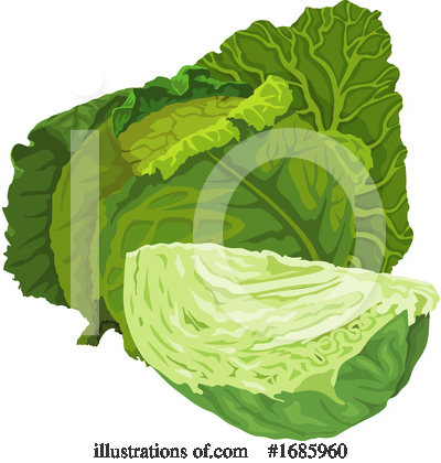 Cabbage Clipart #1685960 by Morphart Creations