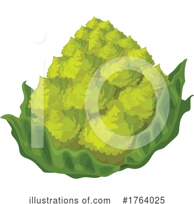 Broccoli Clipart #1764025 by Vector Tradition SM