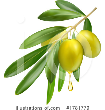 Olive Oil Clipart #1781779 by Vector Tradition SM