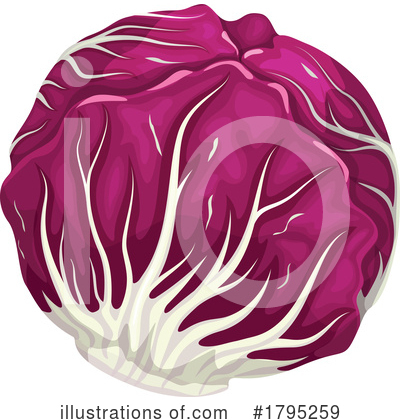 Cabbage Clipart #1795259 by Vector Tradition SM