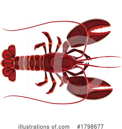 Lobster Clipart #1798677 by Vector Tradition SM