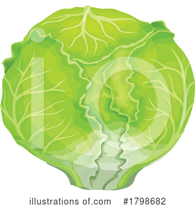 Cabbage Clipart #1798682 by Vector Tradition SM