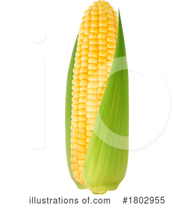 Corn Clipart #1802955 by Vector Tradition SM