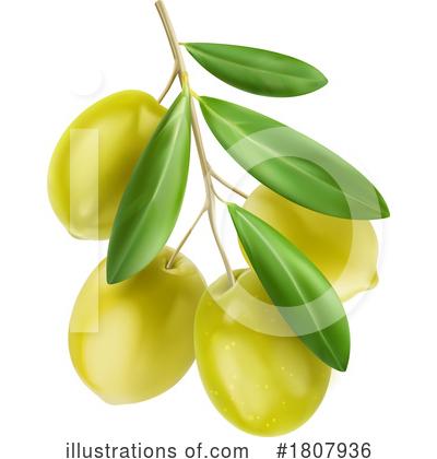 Green Olives Clipart #1807936 by Vector Tradition SM