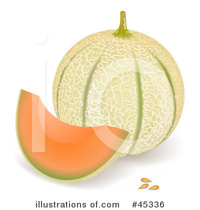 Melon Clipart #45336 by Oligo