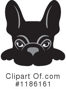 Frenchie Clipart #1186161 by Lal Perera