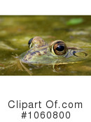 Frog Clipart #1060800 by Kenny G Adams