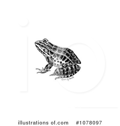 Toad Clipart #1078097 by JVPD