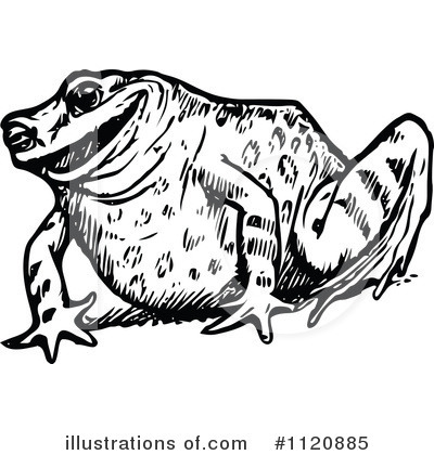 Royalty-Free (RF) Frog Clipart Illustration by Prawny Vintage - Stock Sample #1120885