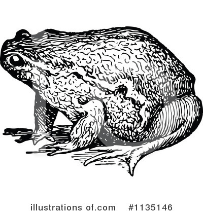 Toad Clipart #1135146 by Prawny Vintage