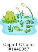 Frog Clipart #1442367 by BNP Design Studio