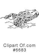Frog Clipart #6683 by JVPD