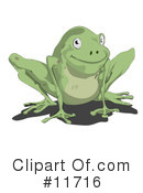 Frogs Clipart #11716 by AtStockIllustration