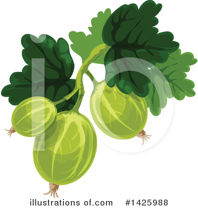 Gooseberry Clipart #1425988 by Vector Tradition SM