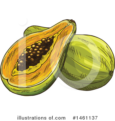 Papaya Clipart #1461137 by Vector Tradition SM