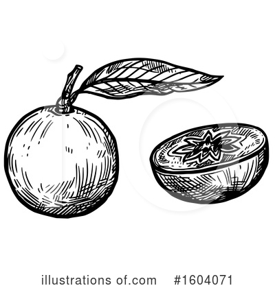 Royalty-Free (RF) Fruit Clipart Illustration by Vector Tradition SM - Stock Sample #1604071
