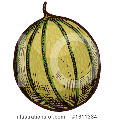 Cantaloupe Clipart #1611334 by Vector Tradition SM