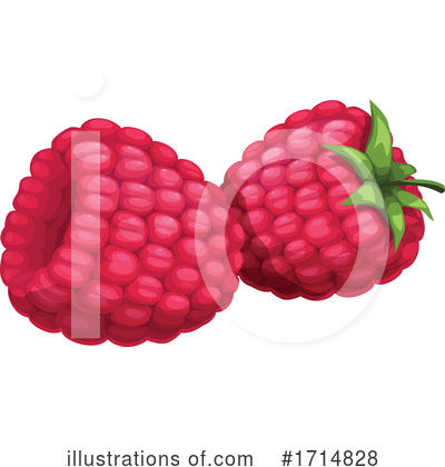 Raspberry Clipart #1714828 by Vector Tradition SM