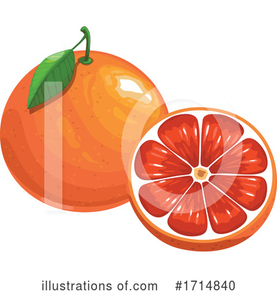 Grapefruit Clipart #1714840 by Vector Tradition SM